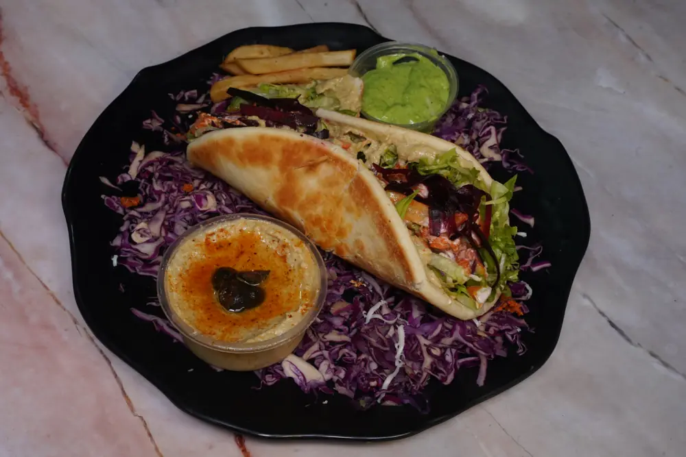 Double chicken shawarma in pita with hummus and fries
